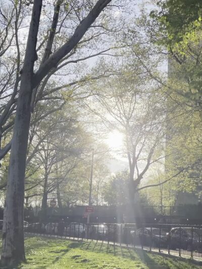 Devoe Park - Bronx, NY