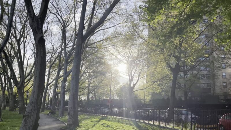 Devoe Park - Bronx, NY