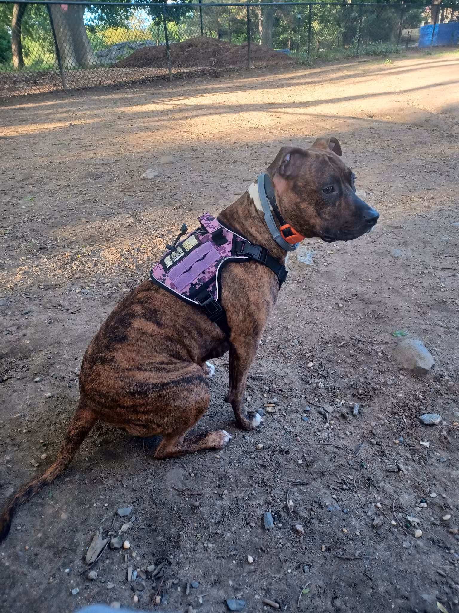 Franz Sigel Dog Run - Bronx, NY