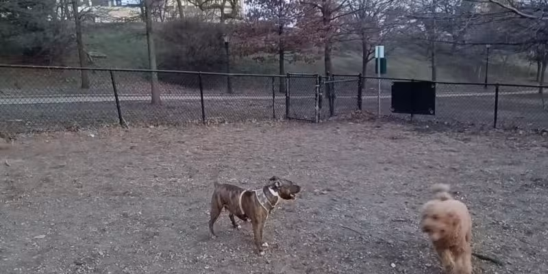 Franz Sigel Dog Run - Bronx, NY