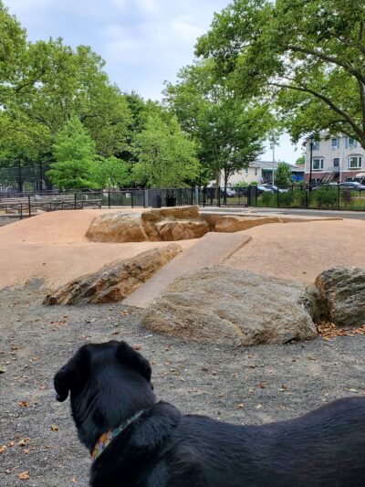 St. Mary's Dog Run - Bronx, NY
