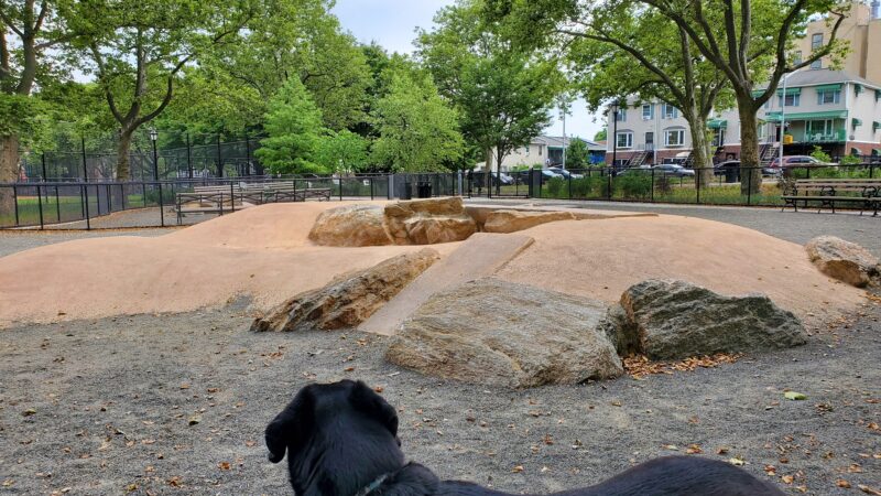 St. Mary's Dog Run - Bronx, NY