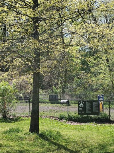 Dog park - Bronx, NY