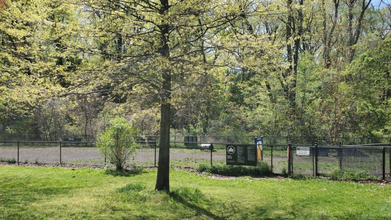 Dog park - Bronx, NY