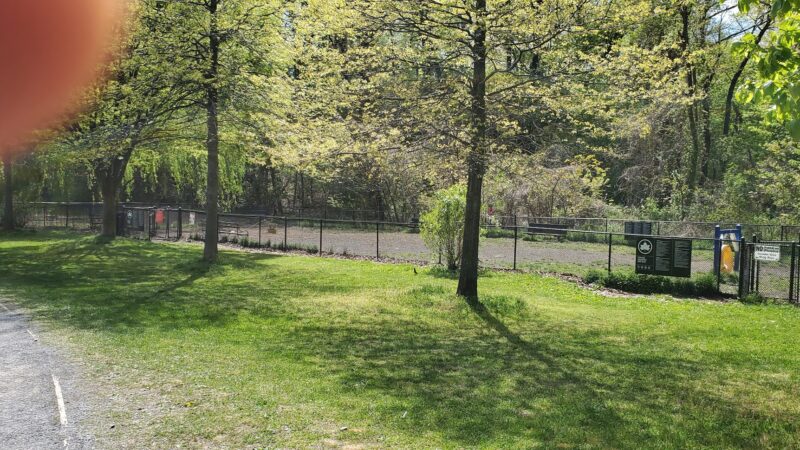 Dog park - Bronx, NY