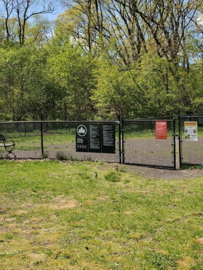 Dog park - Bronx, NY