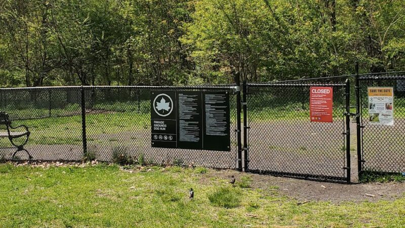 Dog park - Bronx, NY