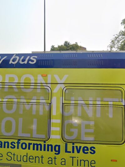 Dog Park - Bronx, NY