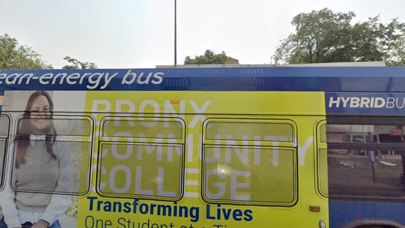 Dog Park - Bronx, NY