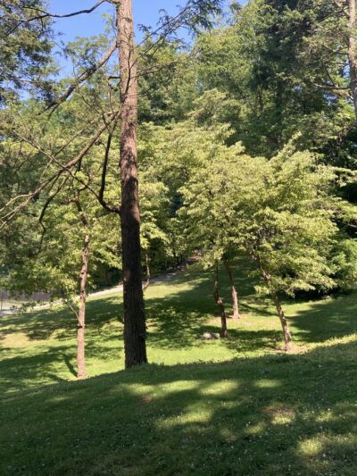 Dogwood Park - Bronxville, NY