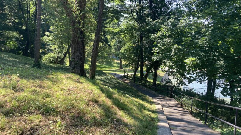 Dogwood Park - Bronxville, NY