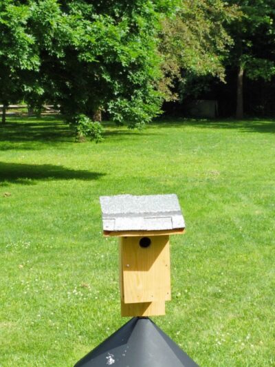 The Nature Preserve - Bronxville, NY