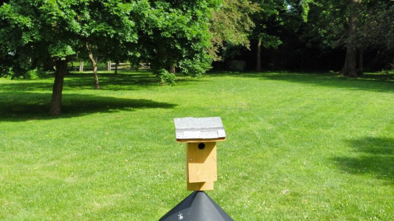 The Nature Preserve - Bronxville, NY