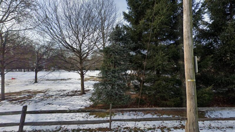 The Nature Preserve - Bronxville, NY