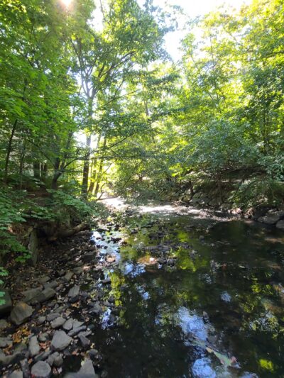 Tuckahoe Duck Pond - Bronxville, NY