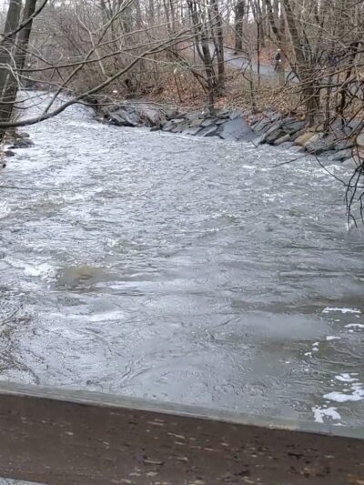 Tuckahoe Duck Pond - Bronxville, NY
