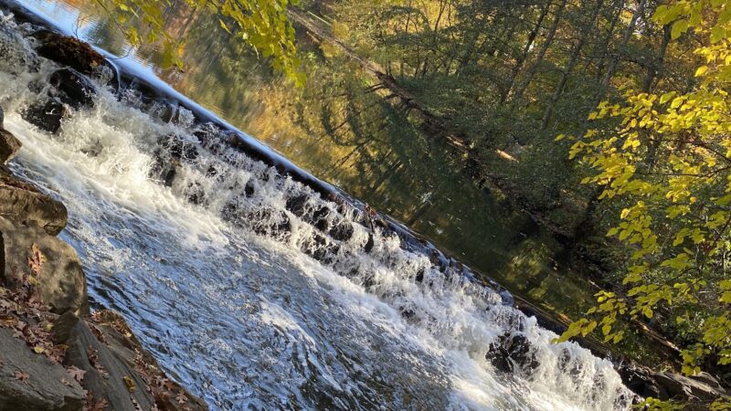 Tuckahoe Duck Pond - Bronxville, NY