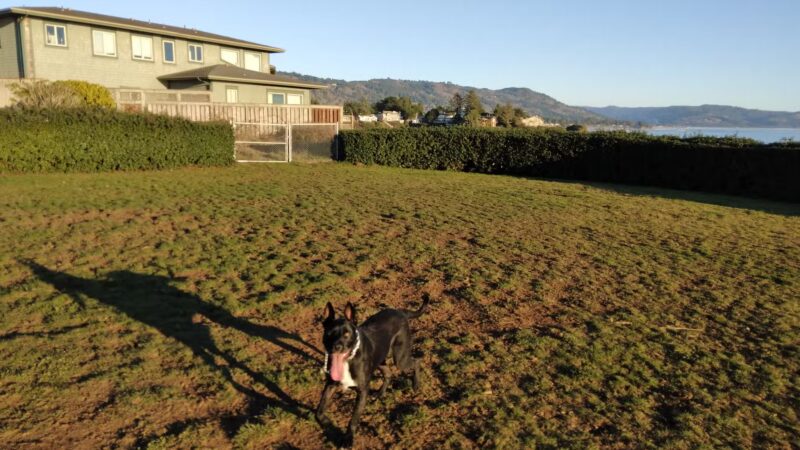 Chetco Point Dog Park - Brookings, OR