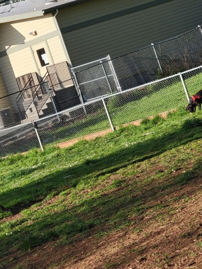 Stout Dog Park - Brookings, OR