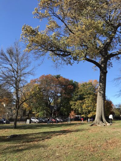 Daniel J. Warren Playground - Brookline, MA