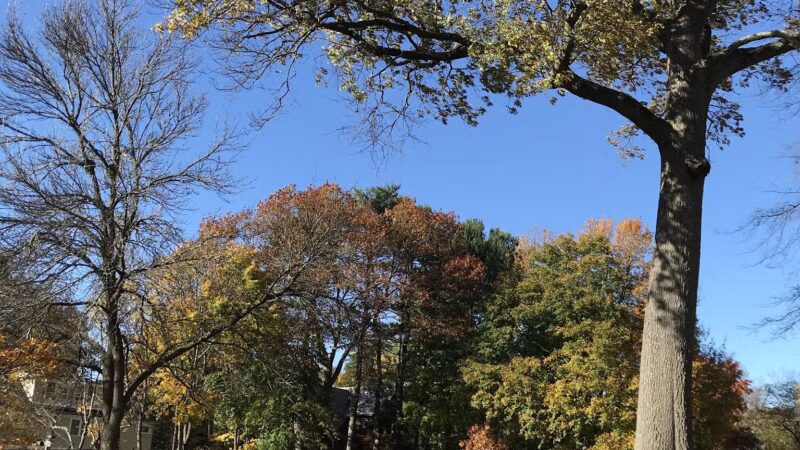 Daniel J. Warren Playground - Brookline, MA