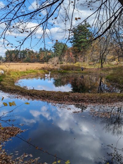 Bartell Trail Head - Brookline, NH