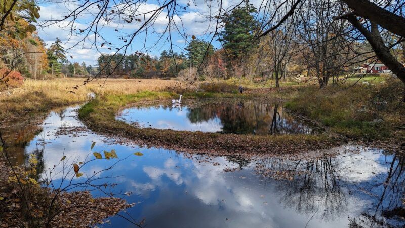 Bartell Trail Head - Brookline, NH