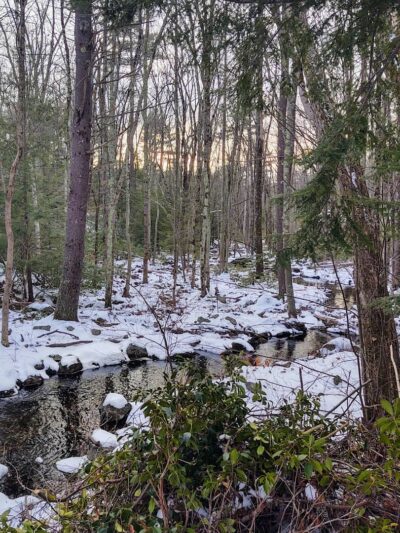 Bartell Trail Head - Brookline, NH