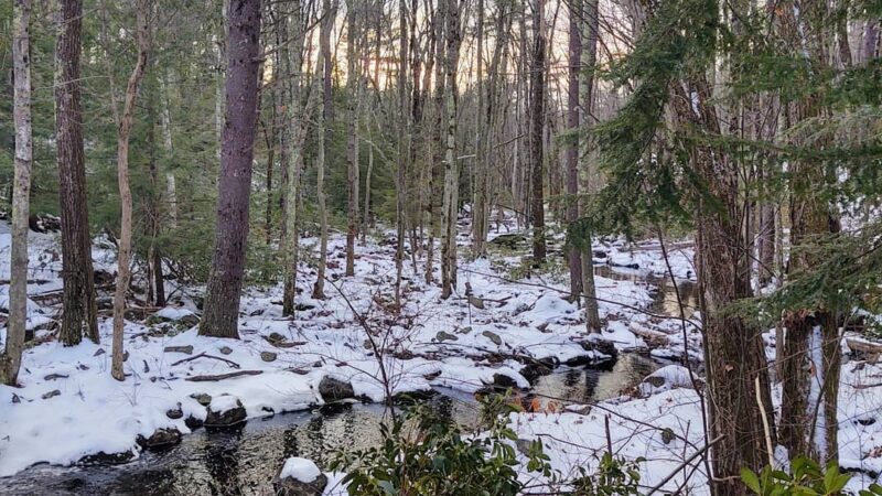 Bartell Trail Head - Brookline, NH
