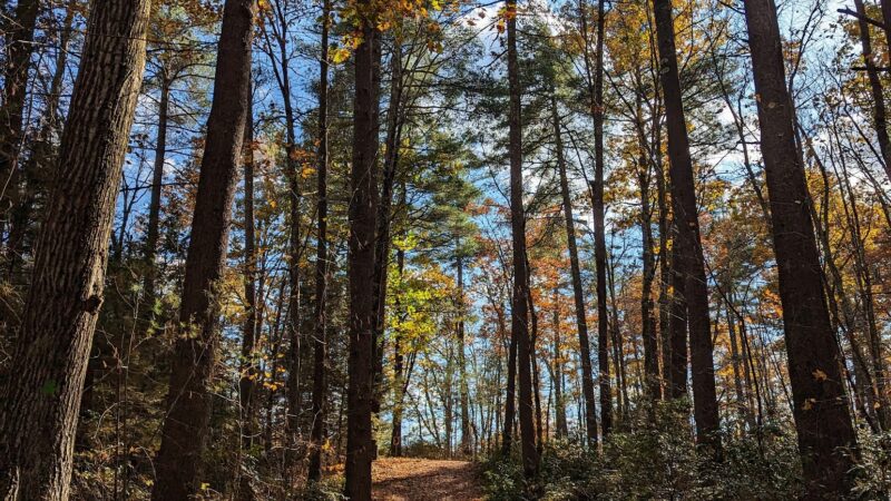 Bartell Trail Head - Brookline, NH
