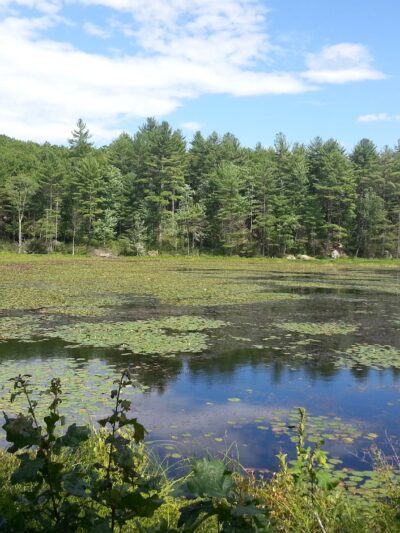 Bartell Trail Head - Brookline, NH