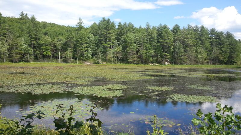 Bartell Trail Head - Brookline, NH
