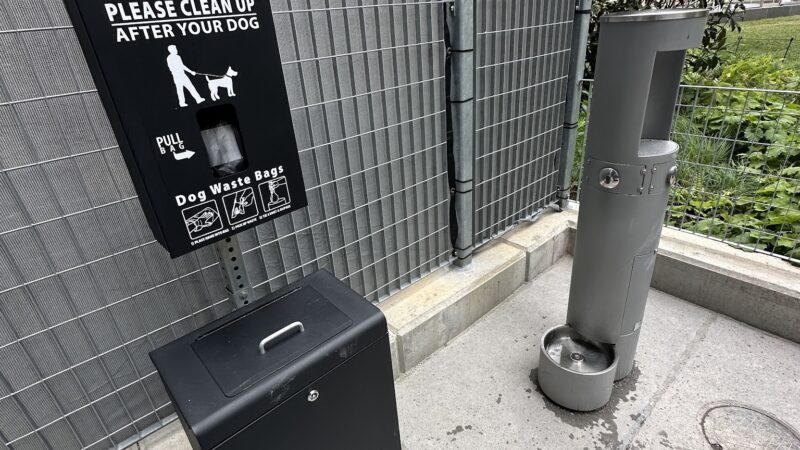 Abolitionist Place Dog Park - Brooklyn, NY