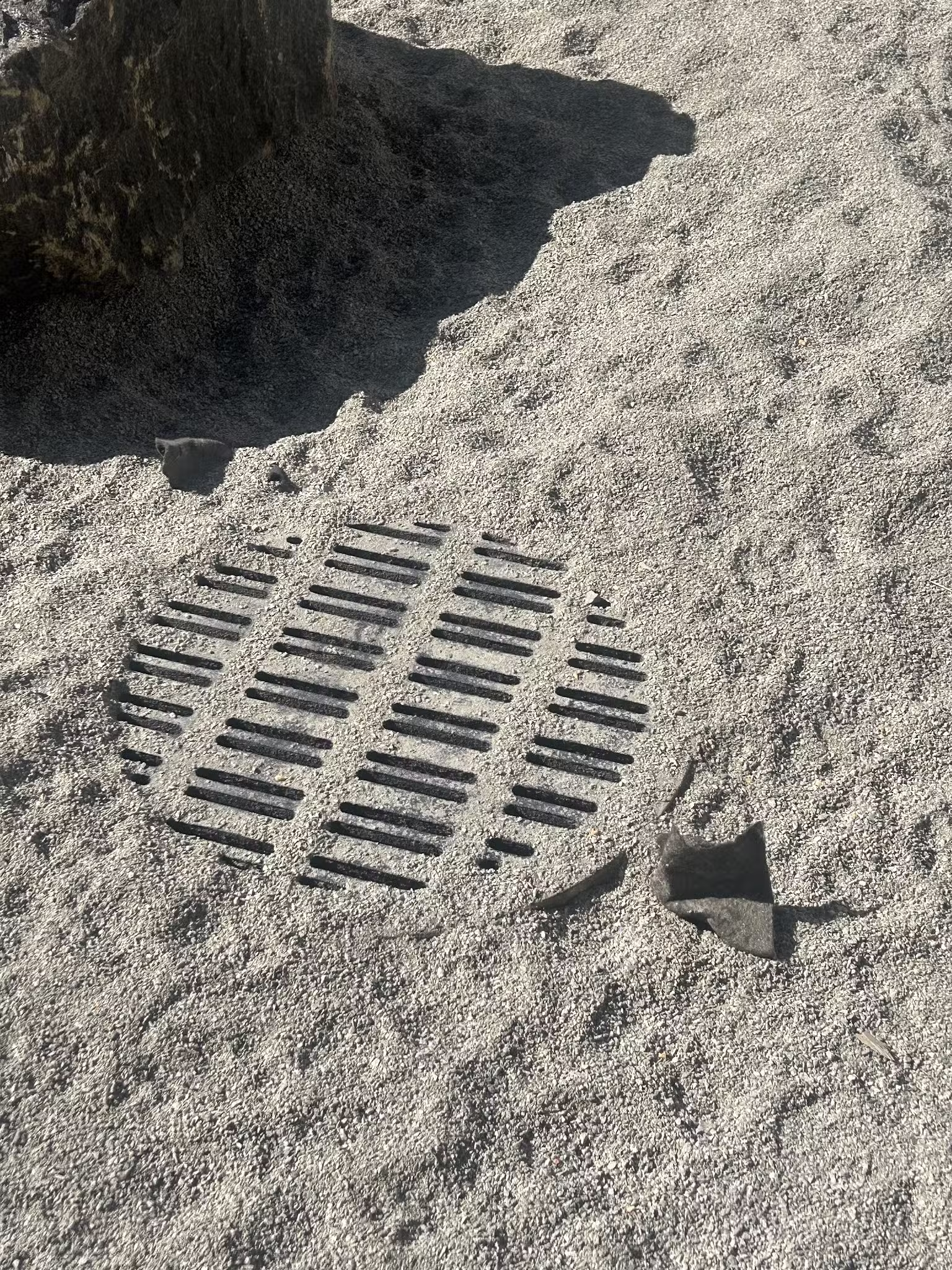 Abolitionist Place Dog Park - Brooklyn, NY