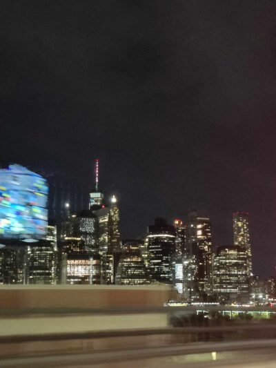 Brooklyn Bridge Park Conservancy - Brooklyn, NY