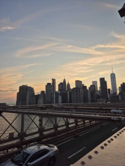 Brooklyn Bridge Park Conservancy - Brooklyn, NY