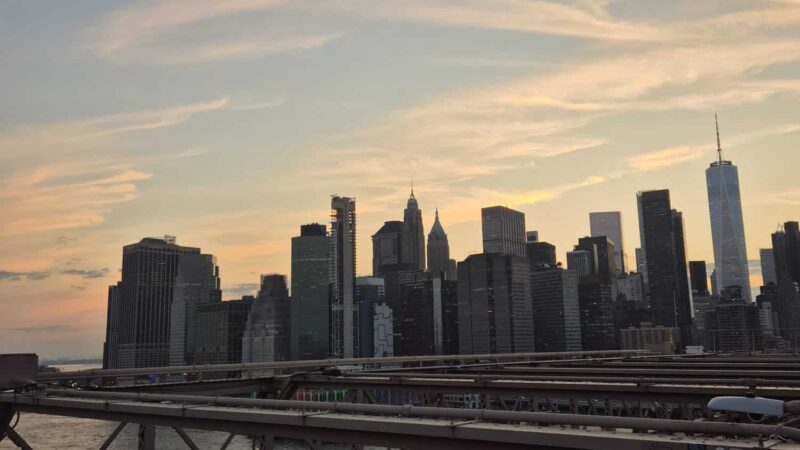 Brooklyn Bridge Park Conservancy - Brooklyn, NY