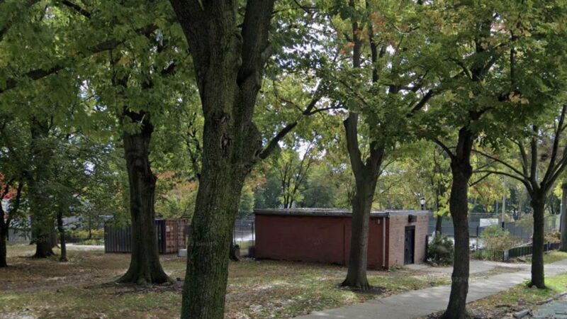 Buffalo Garden - Brooklyn, NY