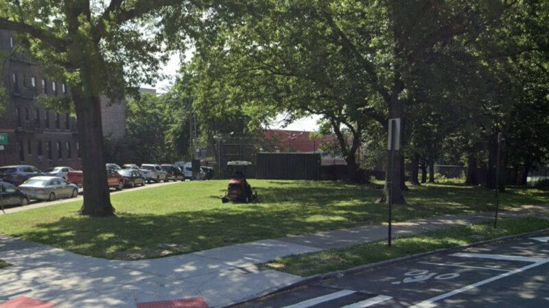 Buffalo Garden - Brooklyn, NY