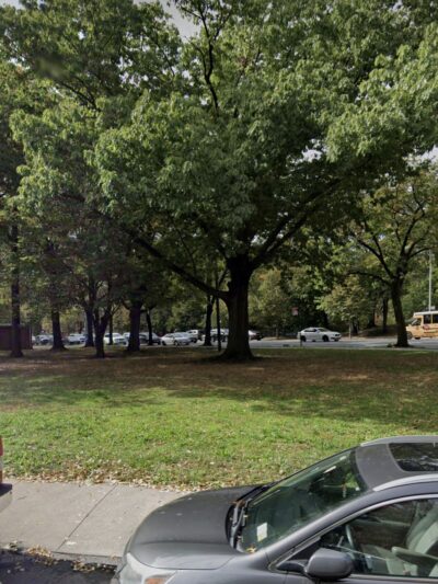 Buffalo Garden - Brooklyn, NY