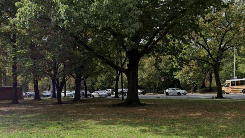 Buffalo Garden - Brooklyn, NY