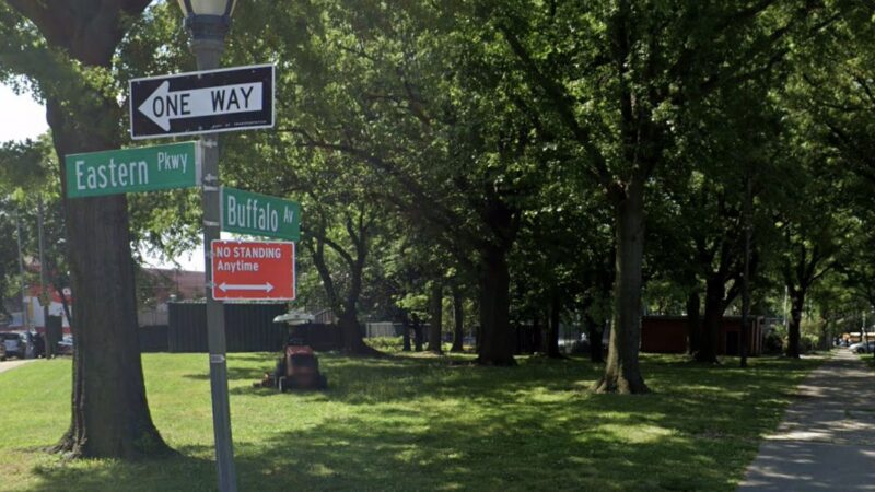 Buffalo Garden - Brooklyn, NY