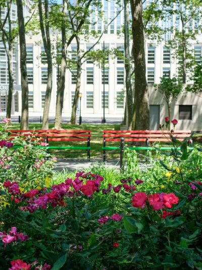 Cadman Plaza Park - Brooklyn, NY