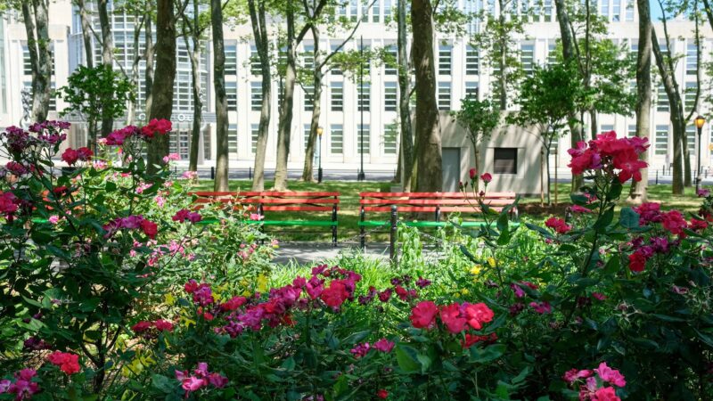 Cadman Plaza Park - Brooklyn, NY
