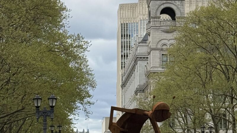 Columbus Park - Brooklyn, NY