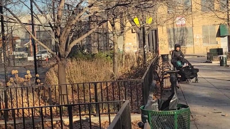 Cooper Park - Brooklyn, NY