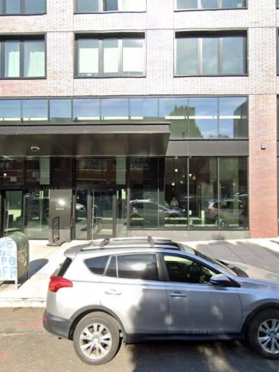 Dog Park - Brooklyn, NY