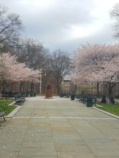 Dr. Ronald McNair Park - Brooklyn, NY