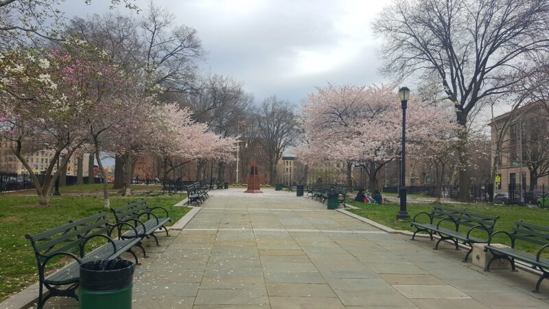Dr. Ronald McNair Park - Brooklyn, NY