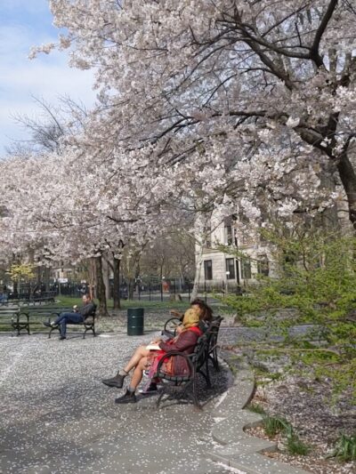 Dr. Ronald McNair Park - Brooklyn, NY